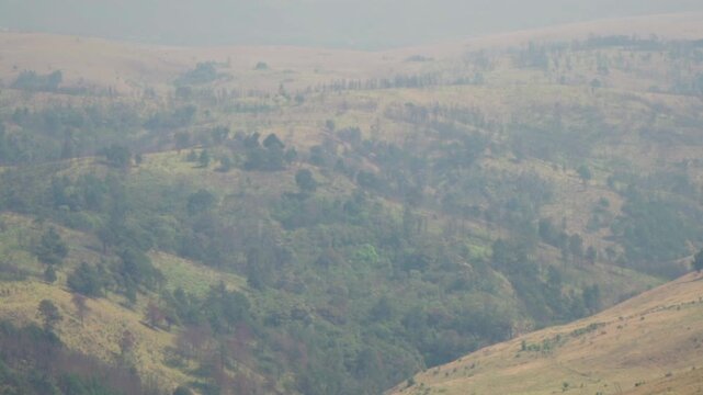 Pungwe Canyon, Drift Causeway, Nyanga National Park, Zimbabwe