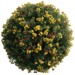 Sphere of green leaves spotted with yellow and red blossoms, top-down view