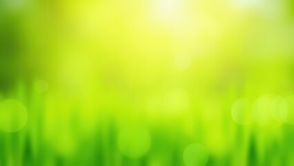 sunny green foliage bokeh background with fresh green grass soft blurred summer nature scene natural outdoor backdrop concept of advertising design eco business