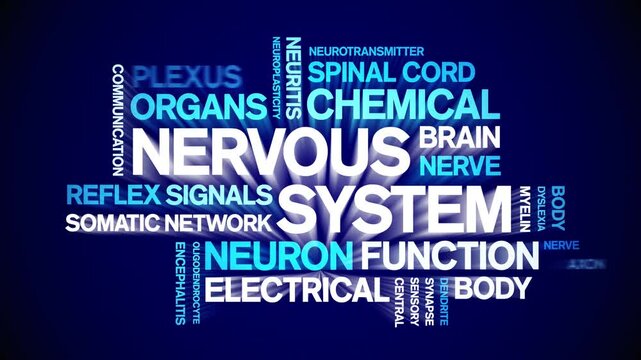 Nervous System animated word cloud-text design animation tag kinetic typography seamless loop.