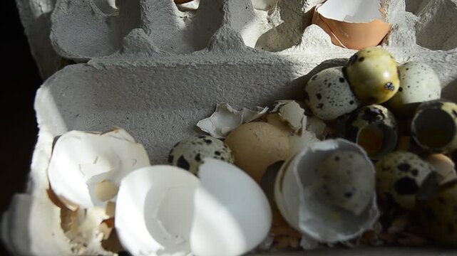 Chicken shell in the hands of a man broken egg believes in the hand of a man