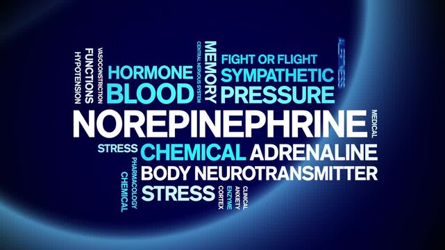 Norepinephrine animated word cloud-text design animation tag kinetic typography seamless loop.