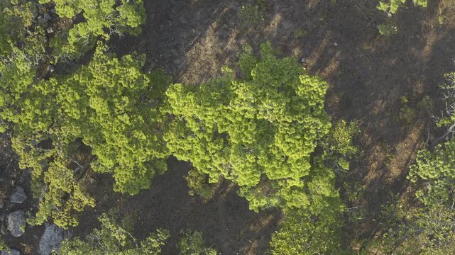 Aerial, Nyanga National Park, Zimbabwe