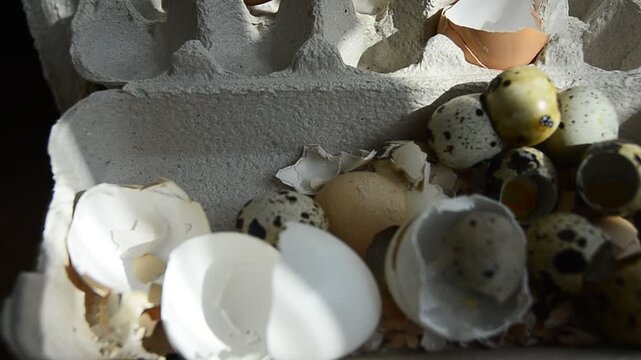 Chicken shell in the hands of a man broken egg believes in the hand of a man
