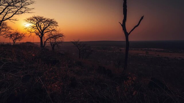 Sunset In The Hwange National Park, Zimbabwe