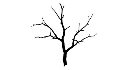 Fototapeta premium A barren tree stands alone in a stark landscape viewed from a distance with bare branches