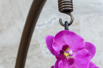 Detail from hanging chair decorated with artificial flowers