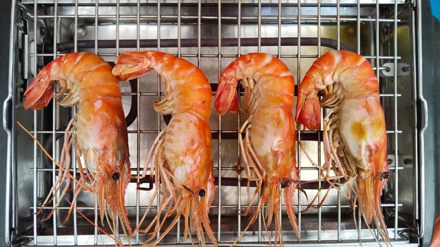Collection of food cooking Shrimp gills realities Thai Shrimp Realistic Electric grilled Machine Home cooking Thai Style dishes 