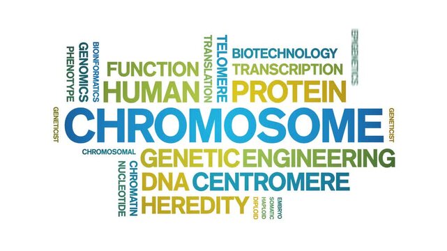Chromosome animated word cloud-text design animation tag kinetic typography seamless loop.