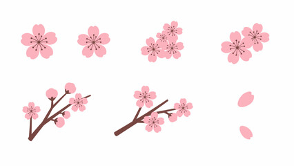 Fototapeta premium Pink Cherry Blossom Flowers and Petals - Spring Floral Elements