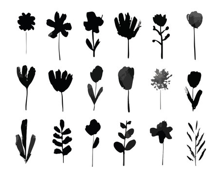 Cole&ccedil;&atilde;o de ilustra&ccedil;&otilde;es bot&acirc;nicas minimalistas de flores e folhagens em silhueta preta com fundo transparente.