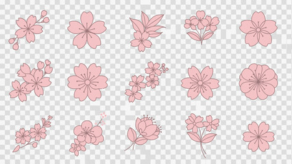 Pink Cherry Blossom Flowers Collection - Vector Illustrations