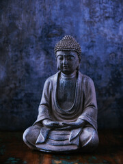 Fried chicken breast on rustic wooden background. Soft focus.