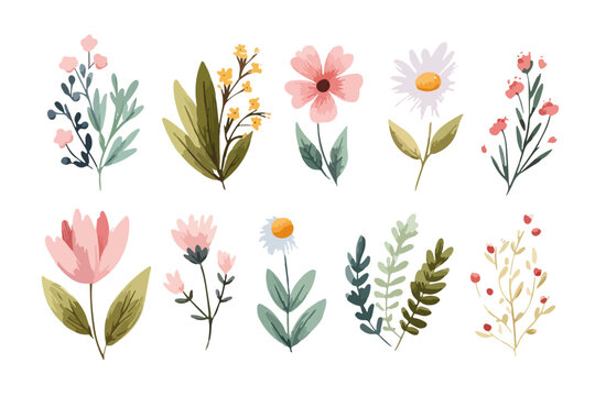 Set di illustrazioni botaniche ad acquerello con fiori delicati e foglie verdi su sfondo trasparente.