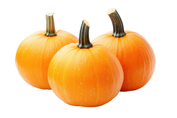 Obraz premium Three vibrant orange pumpkins arranged together, symbolizing autumn harvest and halloween celebrations, isolated on transparent background