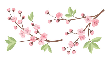 Cherry Blossom Branches with Pink Flowers and Green Leaves