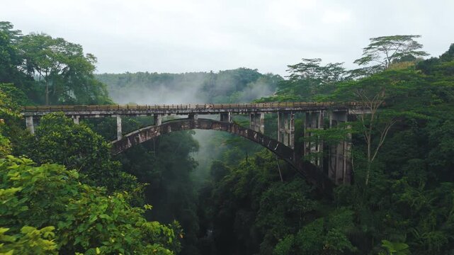 Aerial drone flight over bridge over the abyss and jungle, Ubud, Bali, Indonesia, 4k
