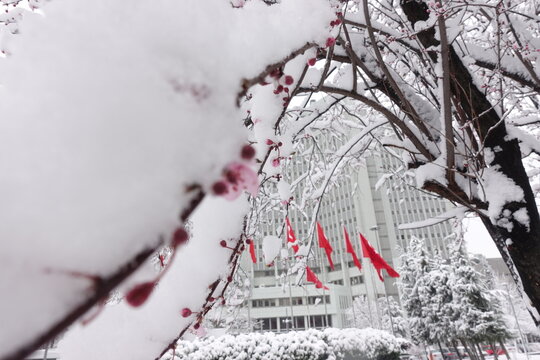 Turkish National flags and the Ministry of Foreign Affairs building in winter - Ankara, T&uuml;rkiye (Turkey)