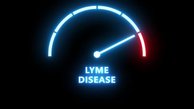 Lyme disease, Borreliosis or Borrelia risk value meter scale inside tick icon. Tick borne disease.