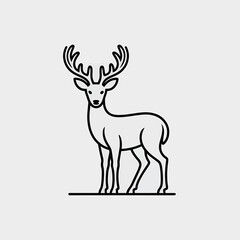 Obraz premium A Deer with Antlers Standing on a White Background wildlife animal nature desig