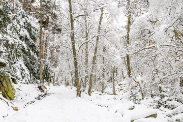 Snowy landscape of mountains port of Canencia in Madrid, Spain