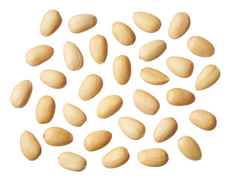 Scattered peanuts food snack isolated on a transparent background