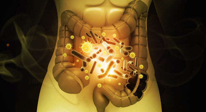 3D Visualization of Human Gut Microbiome: Diversity and Infection Pathogens