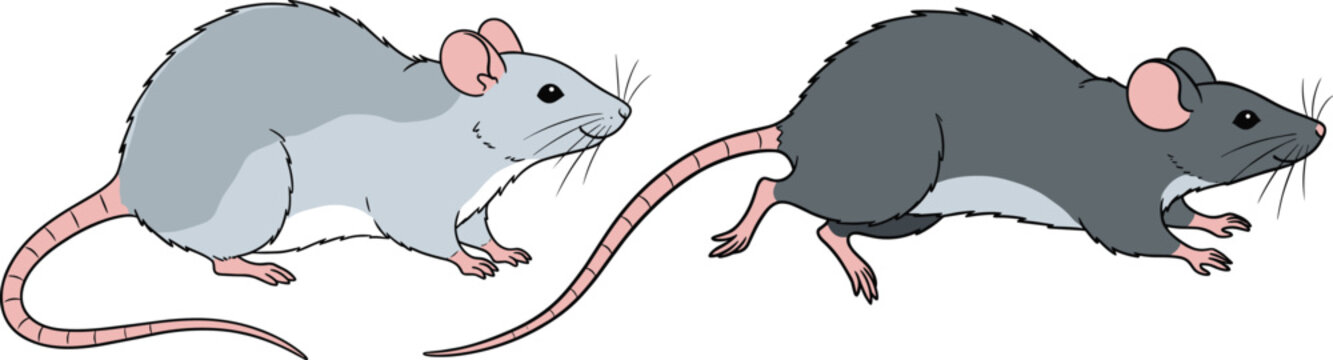 Cute mouse vector set in different poses. Cartoon rat and mouse characters in simple flat style. Animal illustration for education, kids design, and nature themes.