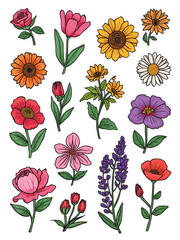 Colorful flower stickers collection