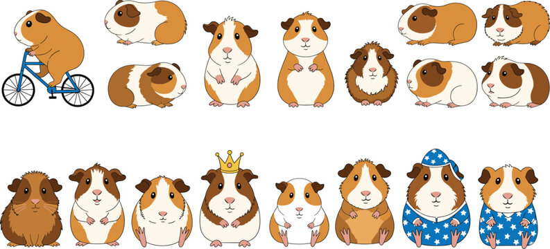 Cute guinea pig cartoon character vector set. Adorable hamsters in many poses, outfits, and activities. Kawaii pet rodent illustrations for kids design, stickers, and education.