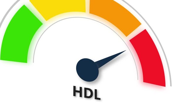 Animated HDL (good cholesterol) level meter moving from low level to normal level, ideal for concepts related to heart health, lipid balance, and medical monitoring