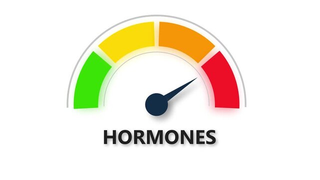 Hormones normal, text, word level concept with barometer or tachometer meter on black background. Suitable for balanced hormone levels, steady endocrine, and healthy body