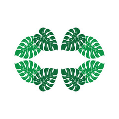 tropical leaf decoration plant and flower vector image