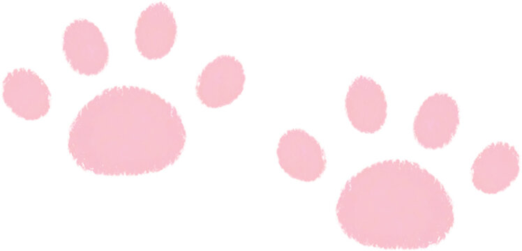 분홍색 동물 발바닥