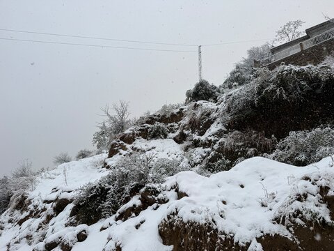 snow covered mountains