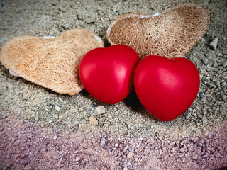 Luffa heart shape,texture is coarse and fibrous.and small red heart put together background