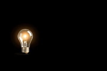 Single Light Bulb on White Background with Copy Space5