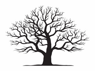 Bare tree silhouette against a white background showing intricate branch details