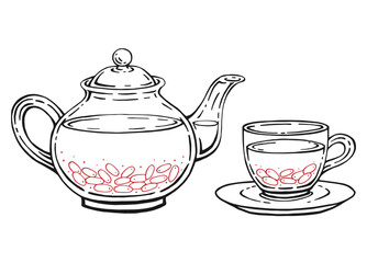 Tea set with healthy barberry tea. Teapot and cup. Hand drawn vector illustration in outline style.