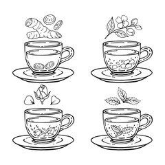 Set glass mugs of tea and saucer. Medicinal tea. Hand drawn vector illustration.