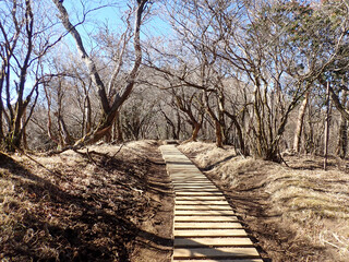 The hiking trail from Tsuchiyama Pass via Mount Oyama to Hadano Station © U3photos
