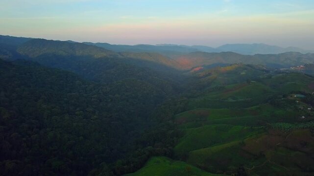 Rubanda District, Uganda, aerial view of Bwindi Impenetrable Forest meeting terraced tea plantations on rolling hills at sunset, showcasing rural landscape and sustainable agriculture