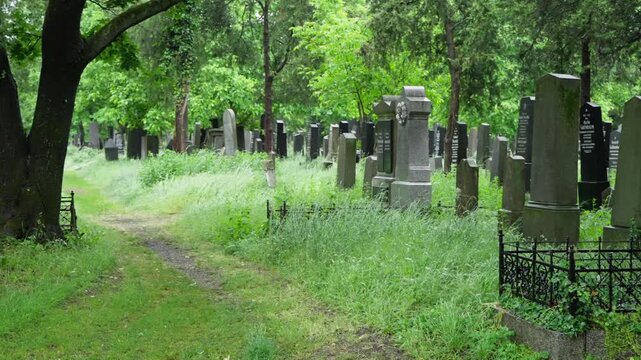 Camera pans through Wiener Zentralfriedhof, showing gravestones and path.