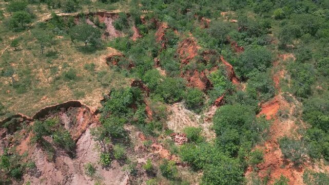 Extensive erosion and gullying impacting a degraded vegetation area in Brazil's Cerrado natural reserve, showing severe environmental impact and soil loss
