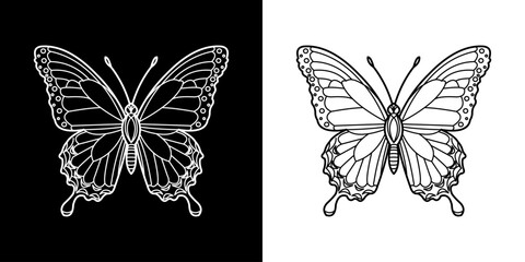 Fototapeta premium butterfly line art isolated on black and white background