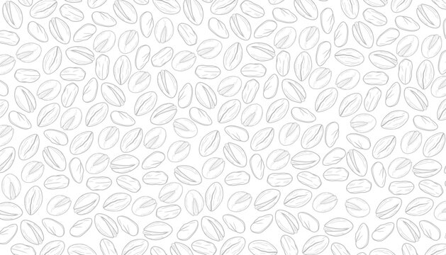 Pistachio nut seamless pattern hand drawn line art style for packaging. Nuts outline hand drawn background texture.