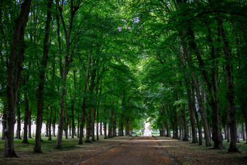 Fototapeta premium Alleyway leading to the Fondation Coubertin - Saint-Remy-lès-Chevreuse - Yvelines - Ile-de-France - France