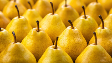 Rows of yellow pears are displayed on a table at a market, showing fresh fruit ready for purchase by customers