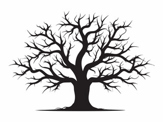 Fototapeta premium A stark silhouette of a bare tree with intricate branching patterns