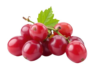 Obraz premium Fresh red grapes with leaves on a white background, ideal for food or wine related images